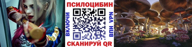 Псилоцибиновые грибы ЛСД  Всеволожск 